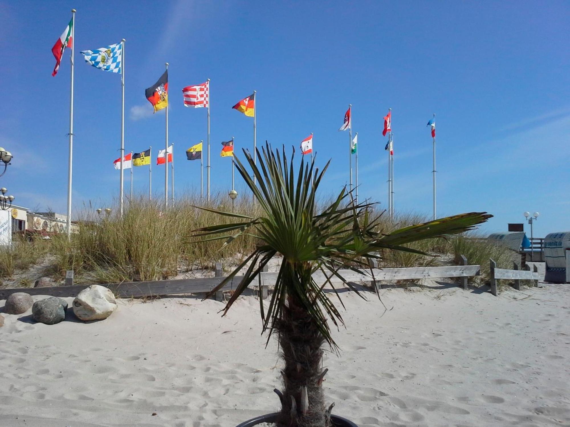 Haus Baltic - Whg 23 - Neu Inkl Saisonstrandkorb! Grömitz Exterior foto